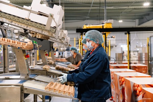 Les Oeufs Geslin, une entreprise sur le tempo des évolutions de son secteur